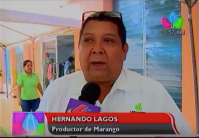 Captura de pantalla 2016 02 09 19.06.41