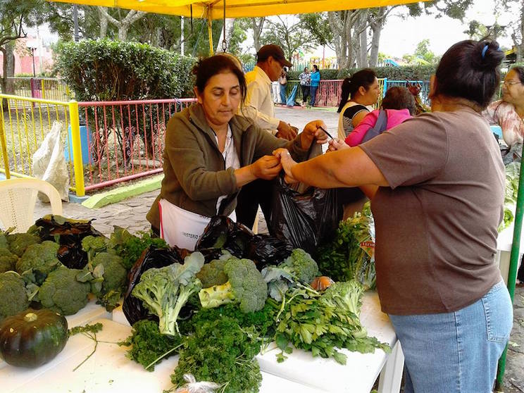 JINOTEGA2
