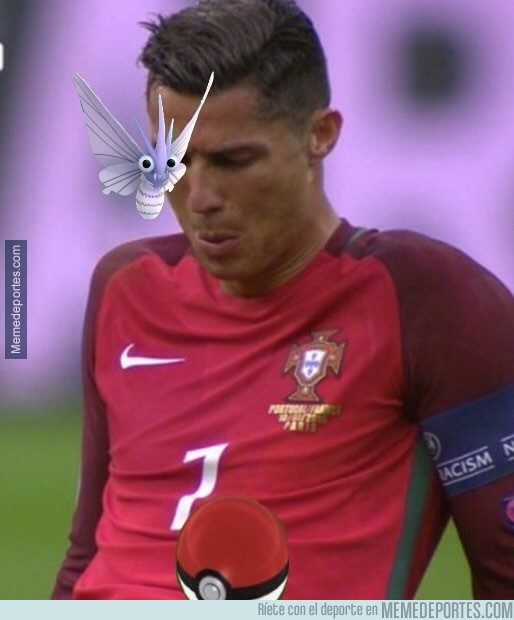 MMD 912028 lo que era en realidad la polilla de cristiano