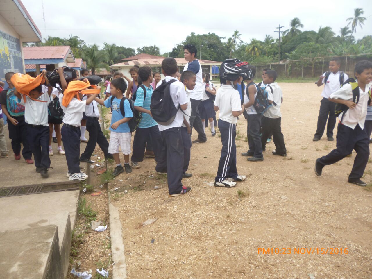 Bilwi3