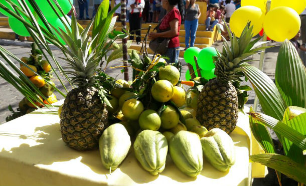 feria citricos 2