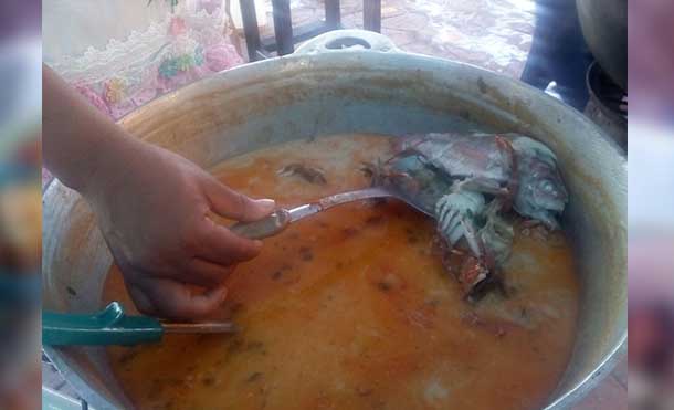 Sopaferia18M