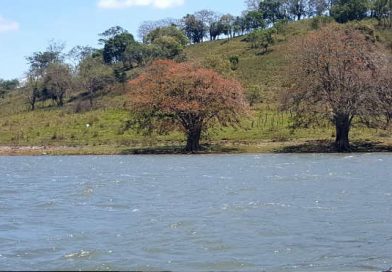 apanas lago1