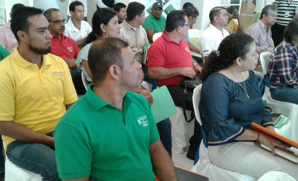 arroz inta15