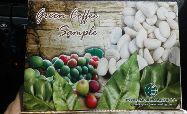 cafeoro3