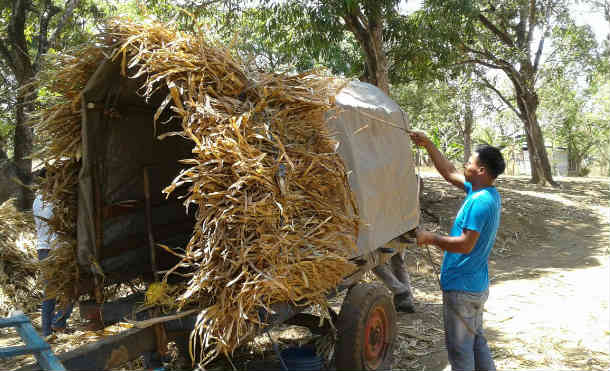 carretas peregrinas2