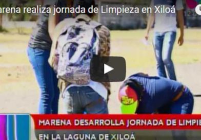 enalatado10