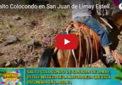 enlatado11