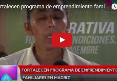 enlatado7