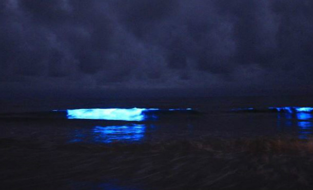 luces tasmania2