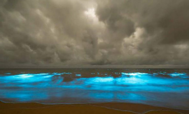 luces tasmania3