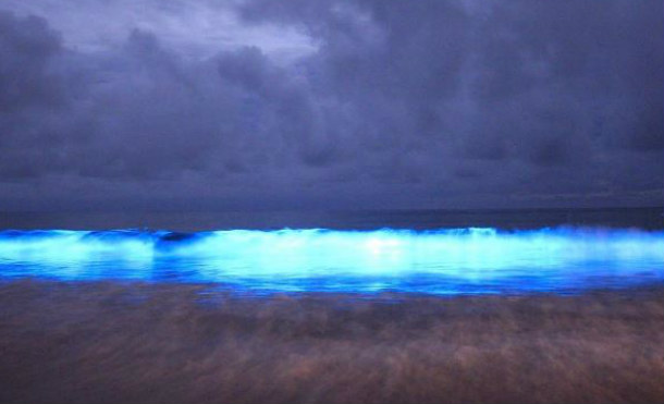 luces tasmania4