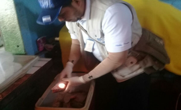 paso caba3