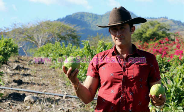 placido osegueda5