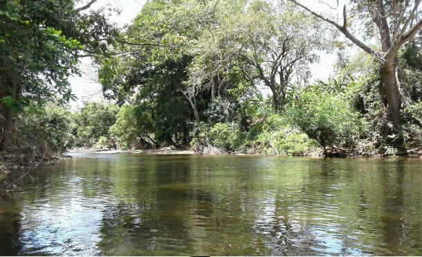 rio mena 2