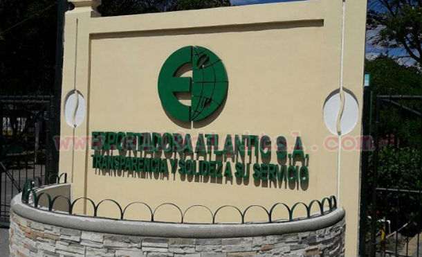 tecnologia cafe 2