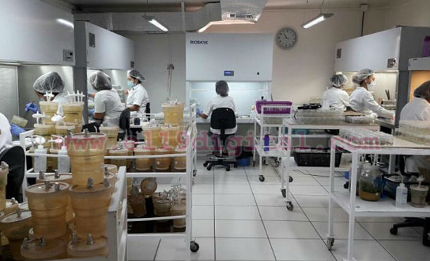 tecnologia cafe 3