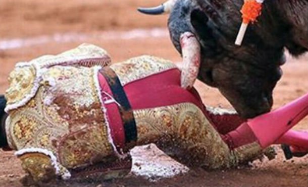 torero mex 2