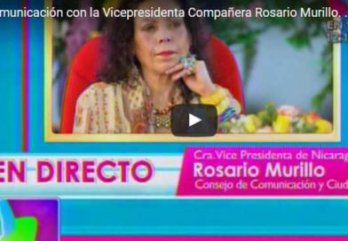 Compañera20 A