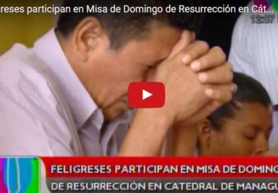 Lunes317A