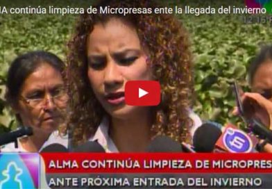 Micropresas21A