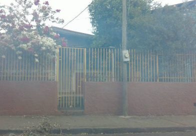 Ciclo de fumigación, necesario para erradicar enfermedades