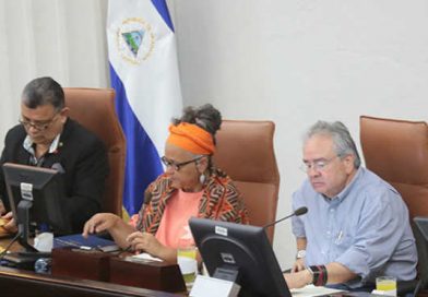 Con 85 votos a favor, el plenario de la Asamblea Nacional aprobó este mediodía la reforma parcial a la Ley 290, Ley de Organización, Competencia y Procedimiento del Poder Ejecutivo, así como a la Ley 462, Ley de Conservación, Fomento y Desarrollo Sostenible del Sector Forestal.