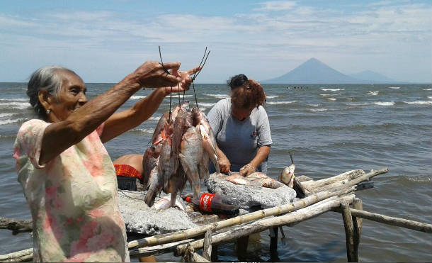 playa menco5