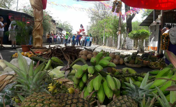 precesion frutasleg2