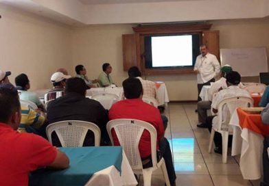 Promueven el uso de alternativas tecnológicas y variedad de semillas para incrementar la productividad