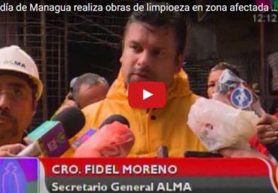 AlmaLimpieza15M