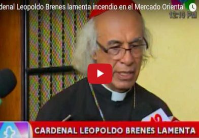 CardenalBrenes15M
