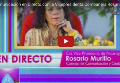 Companera29My