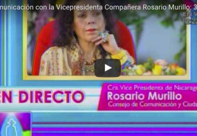 Companera31My