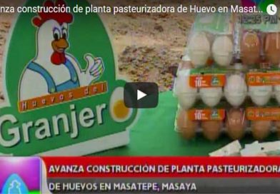 Huevos11My