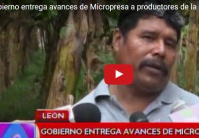 Micropresa10M