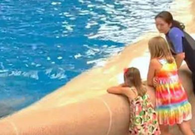 Pide que filmen a sus hijos en el zoológico. Cuando la cámara gira, el entrenador dice que corran