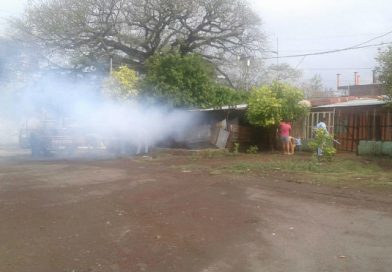 Lluvias podrían aumentar población de mosquitos, evite enfermedades con la fumigación del MINSA