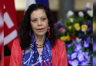 Minsa reporta repunte de dengue, neumonía y malaria