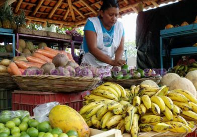 Feria de Frutas y Cosechas, promocionando productos de la tierra a bajo precio
