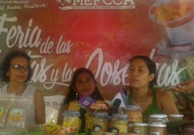 Feria de las frutas y las cosechas este 13 y 14 de mayo