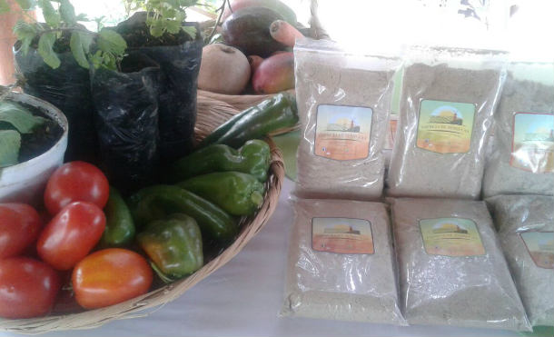 frutas feriapa2
