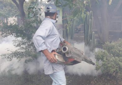 La fumigación elimina al mosquito en su etapa adulta