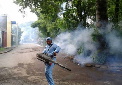 Periodo lluvioso podría intensificar proliferación de mosquitos