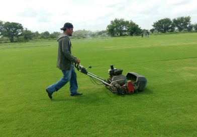 Grama del nuevo Estadio Nacional de Beisbol, será instalada el próximo mes