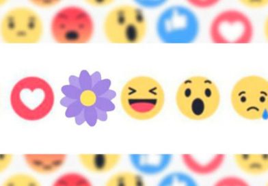 mayo13 facebook flor