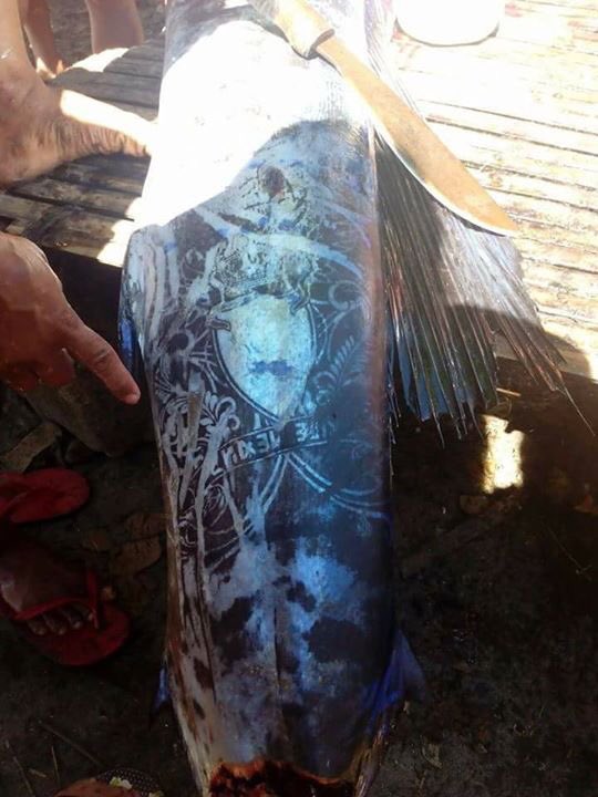 mayo28 pescado tatuado