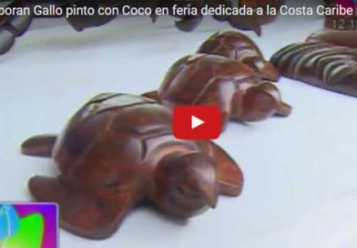 pandecoco08My