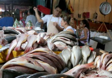 El mes de mayo dio inicio con precios de la canasta básica estable en los mercados de la capital. Compradores y comerciantes, destacan la similitud con los precios de semanas anteriores.