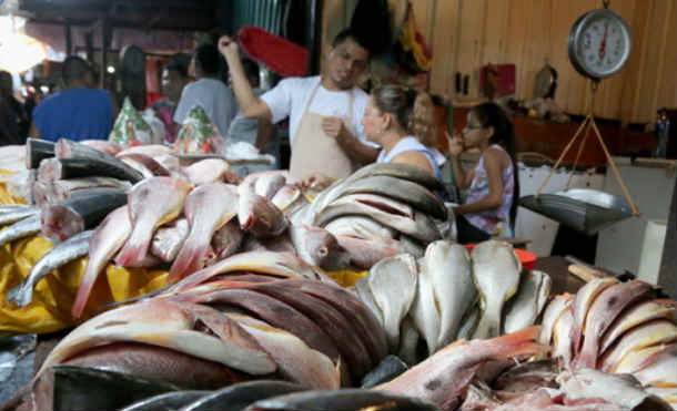 El mes de mayo dio inicio con precios de la canasta básica estable en los mercados de la capital. Compradores y comerciantes, destacan la similitud con los precios de semanas anteriores.